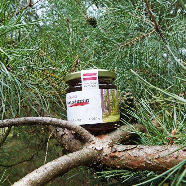 Latvian forest honey 250g