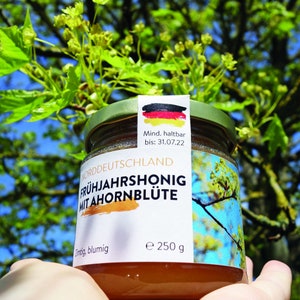 Spring blossom with maple honey, from Brandenburg, top quality from Hanse Honig 250g