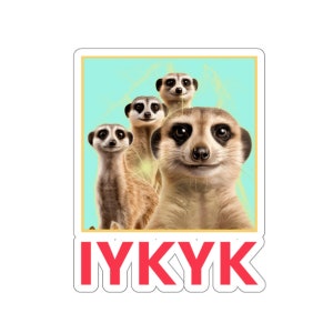 IYKYK (If You Know You Know) Lustige Slang Coole Erdmännchen Tierliebhaber Aufkleber