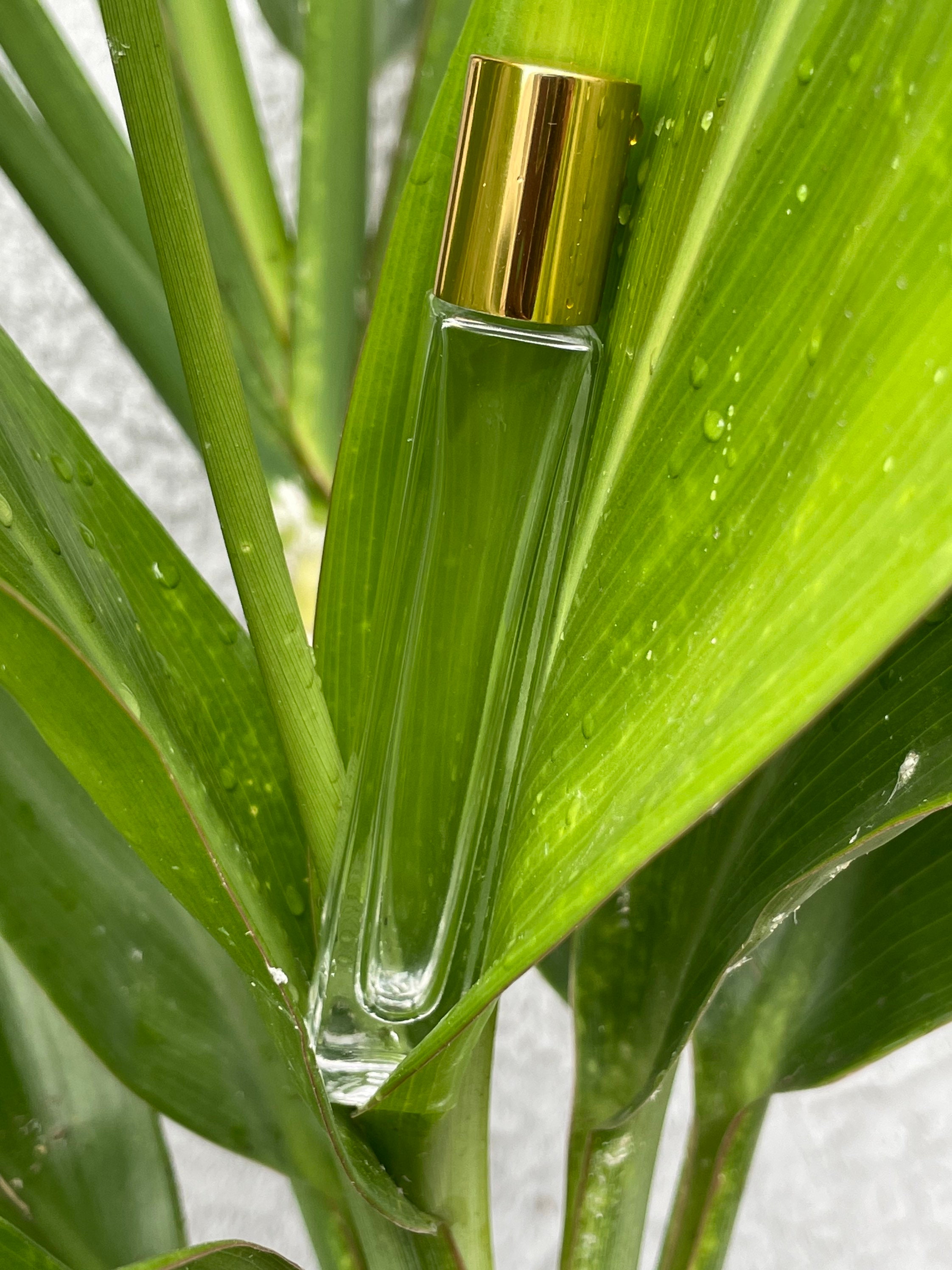 10ml Tall Square Roller Bottlesgold Cap Stainless Steel Etsy