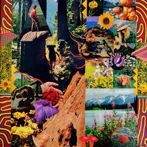 Peut inclure: Un collage vibrant présentant des scènes en extérieur avec des randonneurs, des montagnes et un lac. L'image comprend une personne jouant de la guitare, des champignons, des fleurs et le logo Grateful Dead. La palette de couleurs est vive et psychédélique.