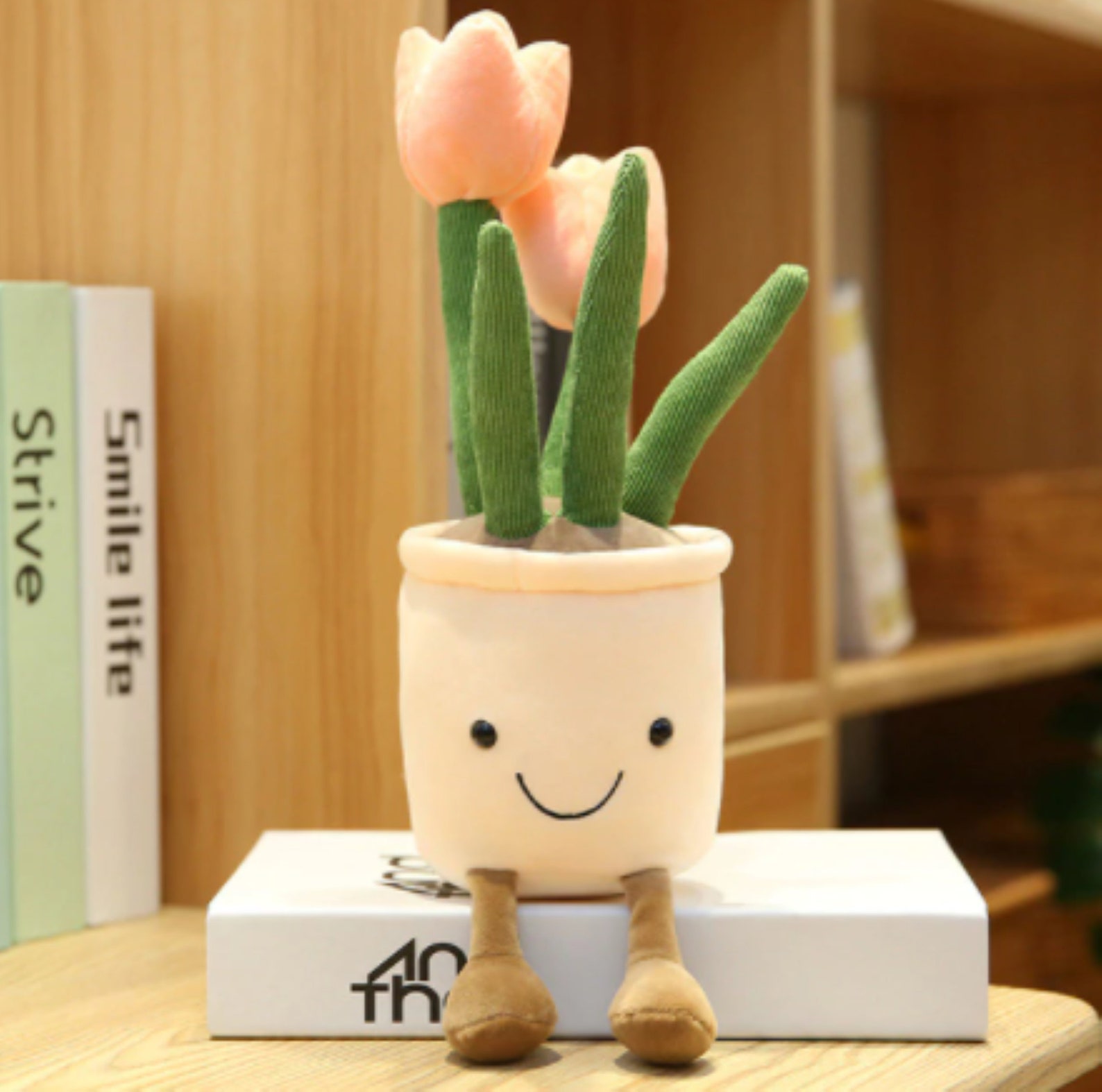 cactus squishmallow cactus squishmallow