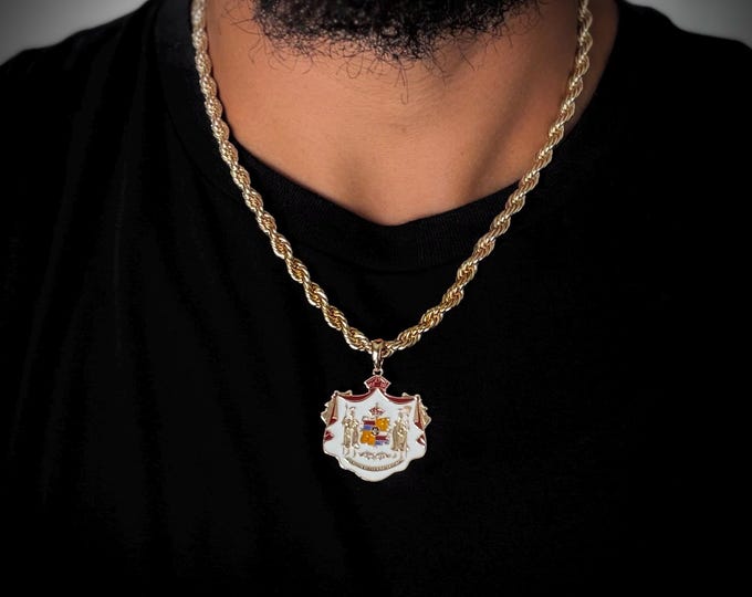 Featured listing image: Hawaiian Coat of Arms 14k Gold Enamel Pendant w/ 6mm x 20in Thick Chain