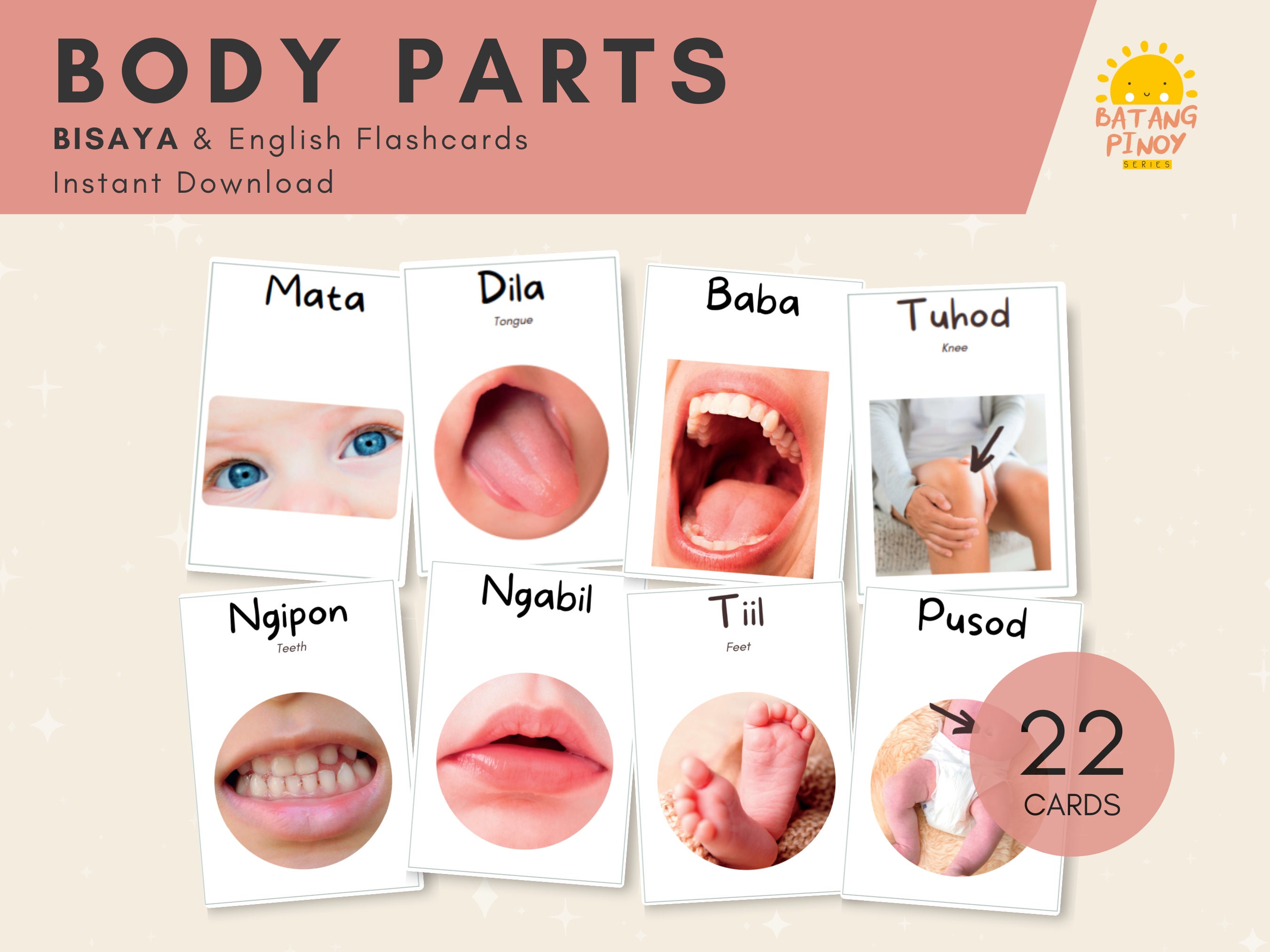 Body Parts BISAYA Flash Cards With English Translation Bilingual Cards