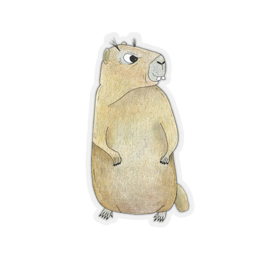 Rock Chuck Sticker yellow-bellied Marmot Weatherproof - Etsy Rock Chuck Sticker yellow-bellied Marmot Weatherproof - Etsy