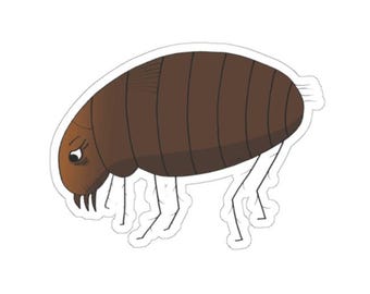 Flea Sticker, Weatherproof