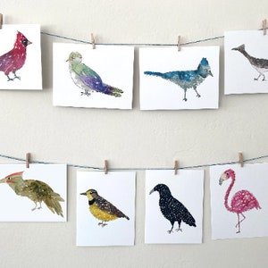 Set of 8 Bird Postcards