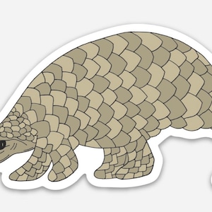 Pangolin Sticker, Weatherproof