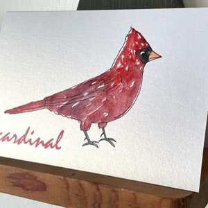 Set of 6 Different Bird Greeting Cards with Envelopes