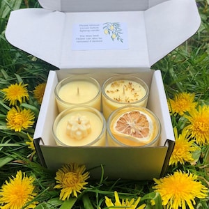 SOY Citronella Candles, Box of four