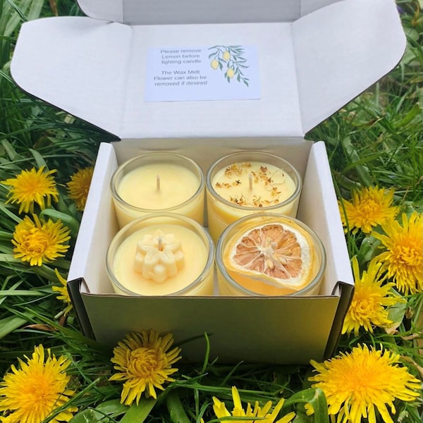 SOY Citronella Candles, Box of four