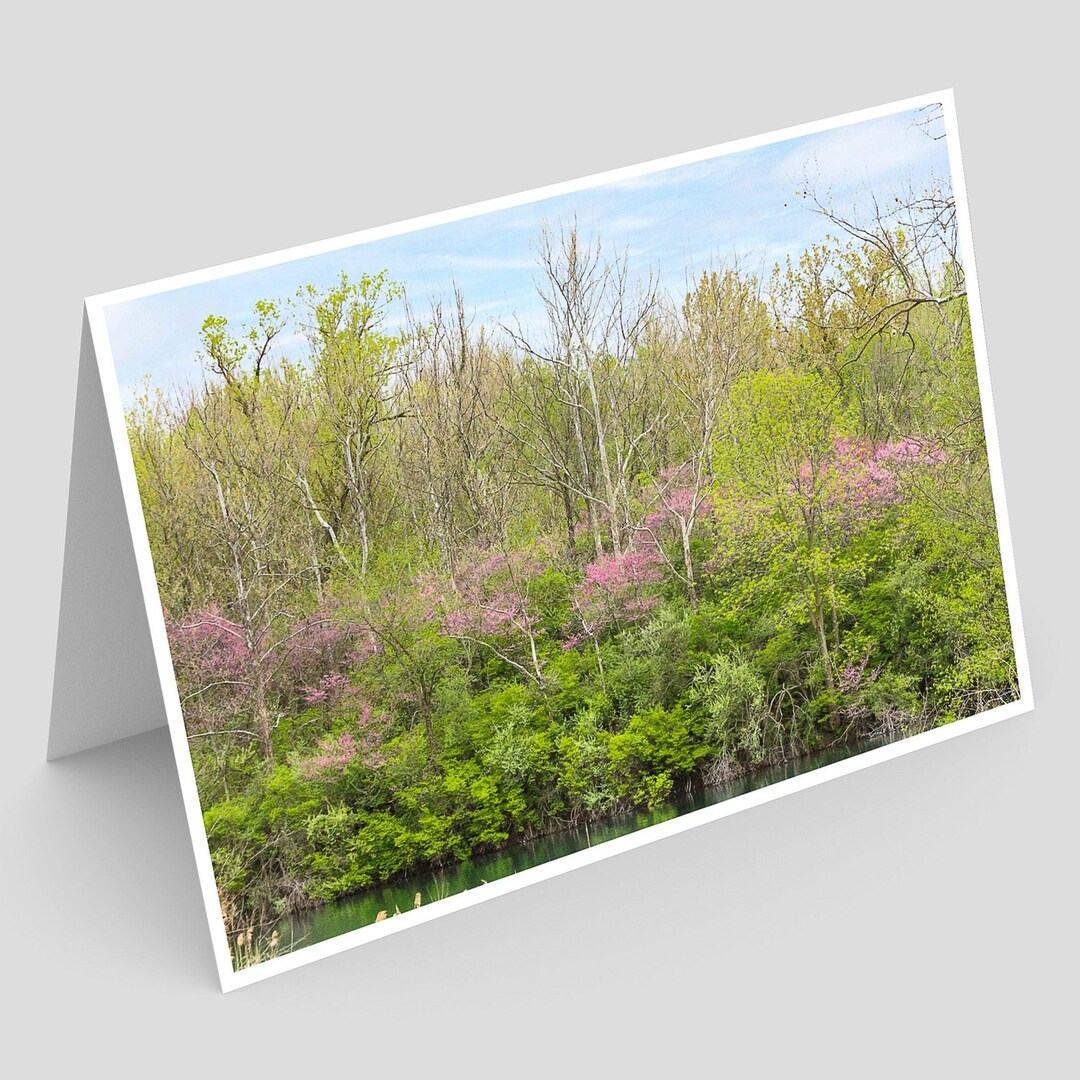 Kickapoo Sra Kickapoo State Recreation Area Greeting Card IMG_1021 - Etsy