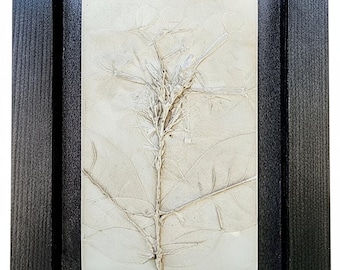 Plaster Botanical Bas Relief Artwork