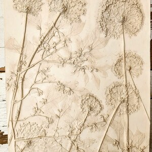 Plaster Botanical Bas Relief Artwork