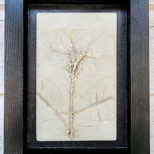 Plaster Botanical Bas Relief Artwork