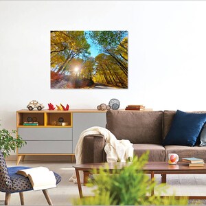 May include: A rectangular wall art print featuring a low-angle view of a forest road during autumn. The scene displays tall trees with vibrant yellow and orange foliage, a bright sunburst shining through the canopy, and a clear blue sky above.