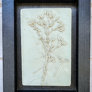 Plaster Botanical Bas Relief Artwork