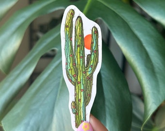 Pegatina de corazones de cactus: vinilo impermeable del desierto de saguaros (aprox. 7,6 cm)