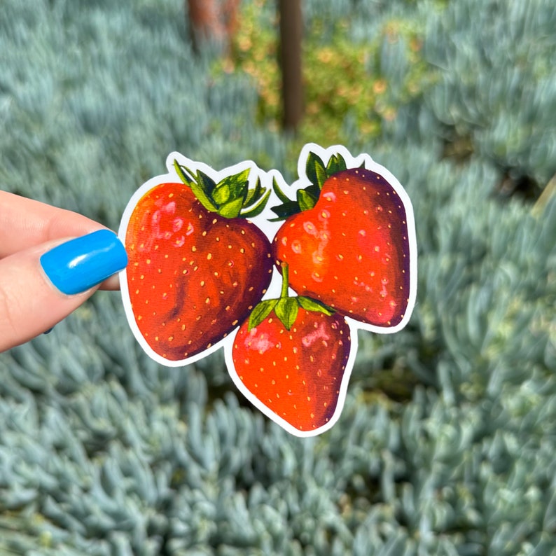 Produce Sticker Set Vinyl Die Cut Etsy