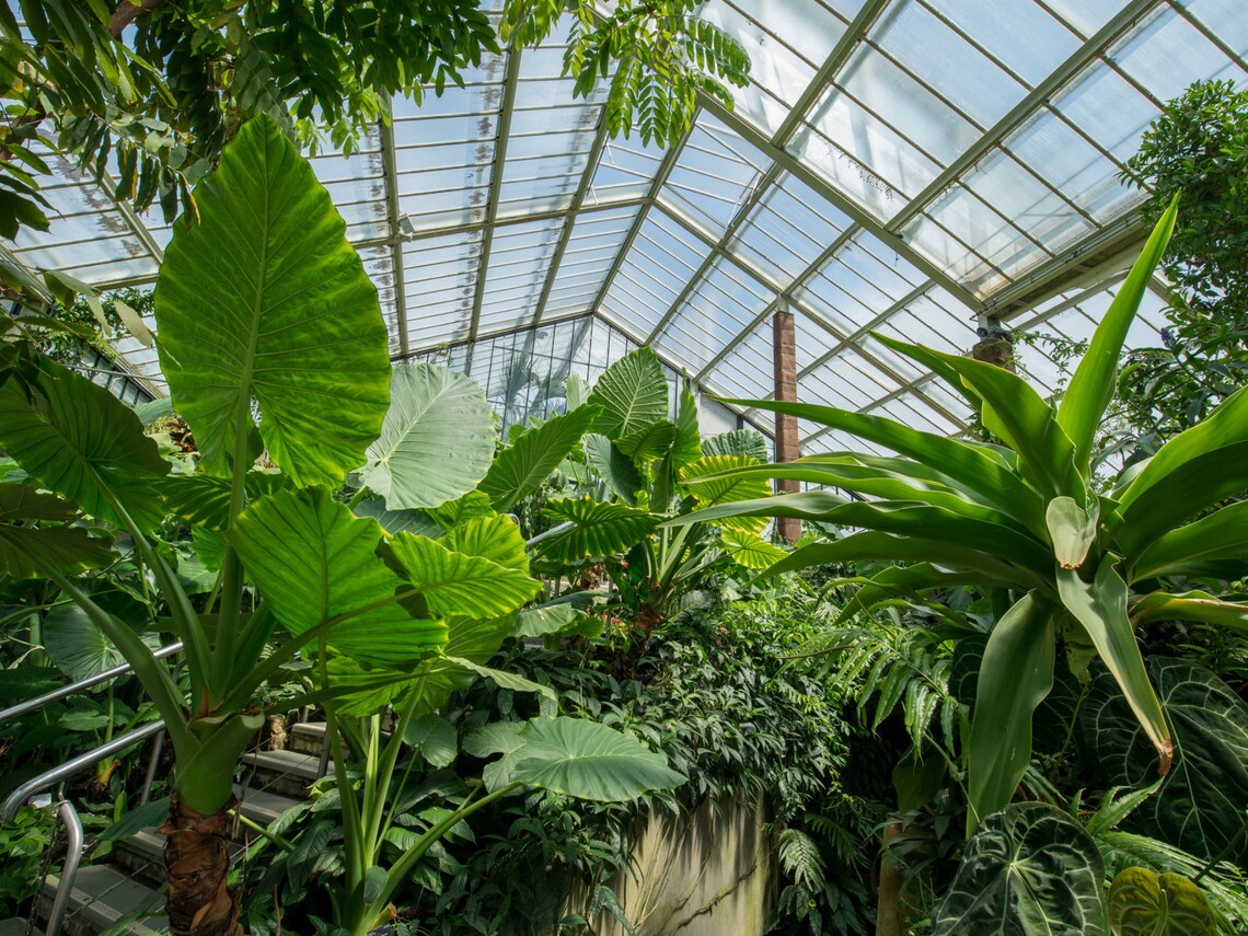 Cold Frame Planter Greenhouse Grow Shed Plant Cover Cold Frame Etsy UK