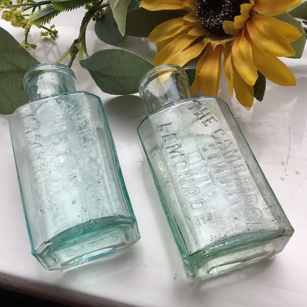 Lemonade Bottle Etsy UK