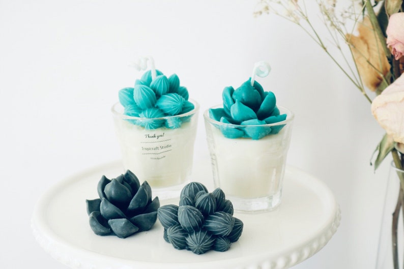 Mini Cactus Candles100/% Natural Essential OilCandle gift Home decor Plant based candles Custom candle decorated candles