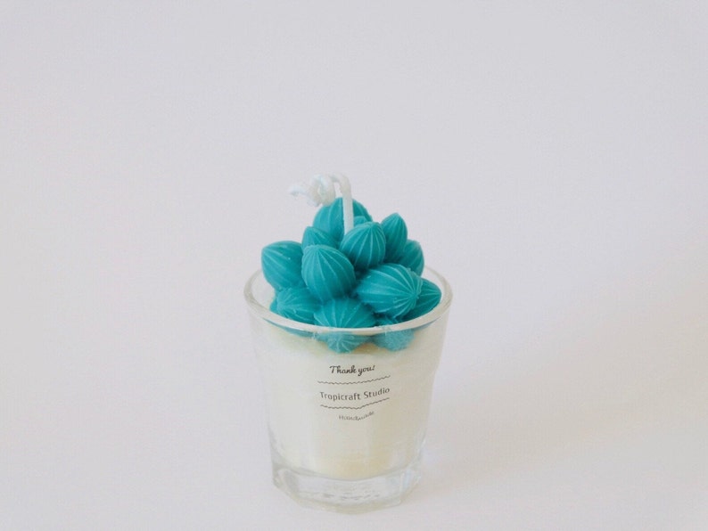 Mini Cactus Candles100/% Natural Essential OilCandle gift Home decor Plant based candles Custom candle decorated candles