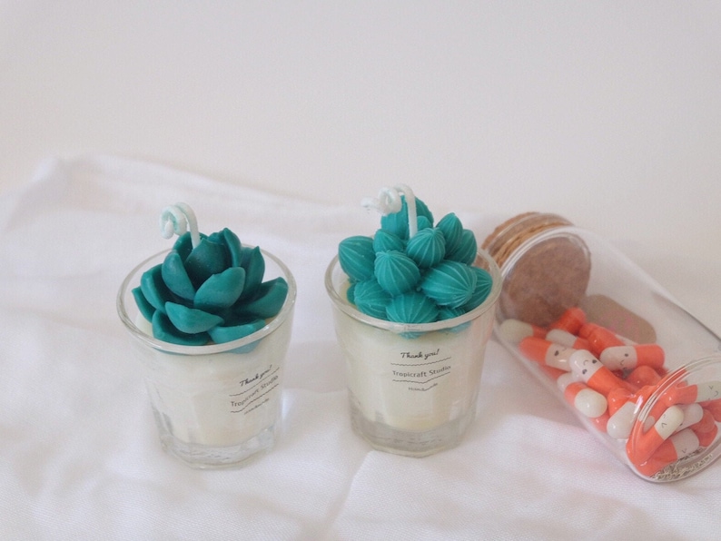 Mini Cactus Candles100/% Natural Essential OilCandle gift Home decor Plant based candles Custom candle decorated candles