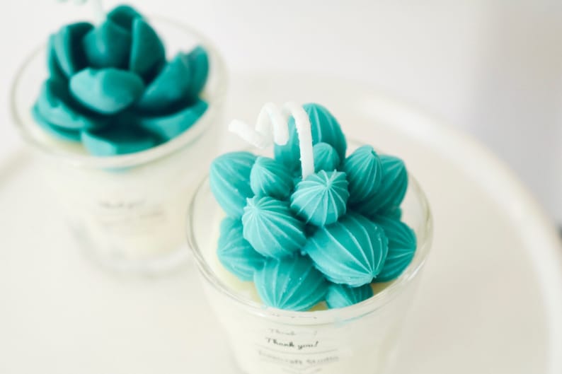 Mini Cactus Candles100/% Natural Essential OilCandle gift Home decor Plant based candles Custom candle decorated candles