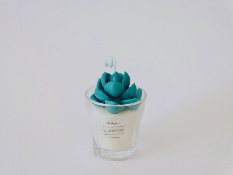 Mini Cactus Candles100/% Natural Essential OilCandle gift Home decor Plant based candles Custom candle decorated candles