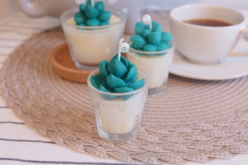Mini Cactus Candles100/% Natural Essential OilCandle gift Home decor Plant based candles Custom candle decorated candles