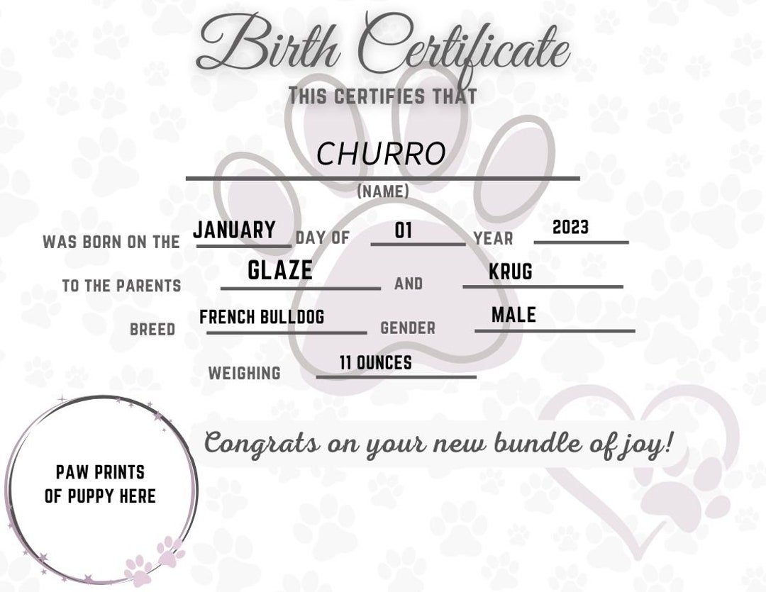Puppy Birth Certificate Printable, Dog Birth Certificate, Pet Birth ...
