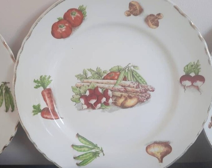 Vintage French Dinner Plates, Ancient Vintage Plates Handpainted With