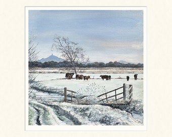 8 Inch Frost on Shapwick Moor Limited Edition Print