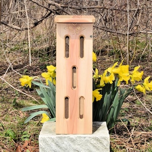 Vlinderhuis | 17&quot; hoog | Red cedar | Gegraveerde vlinder | Geventileerd | 3 lagen spar-urethaan op waterbasis | Opening aan zijkant