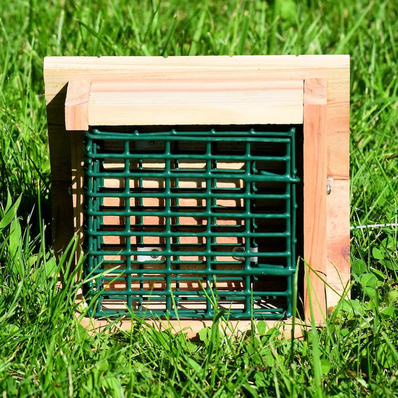 Cedar Woodpecker Feeder for Upsidedown Eating Birds Holds Suet or