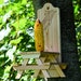 see more listings in the Squirrel Feeders section