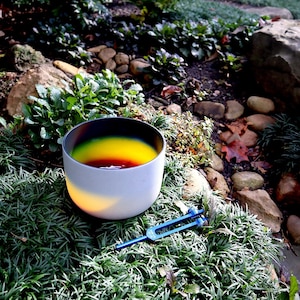 432 Hz Third Eye Rainbow Bowl - 8” Crystal Singing Bowl - 174 Hz Solfeggio Tuning Fork - 99% Quartz Crystal, Striker, Padded Carry Case