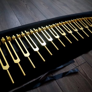 Myriad Melodies&#39; Professionally Tuned .25  15pc Human Biology Tuning Fork Set - Organs Tissue Cells Sound Vibration, Bio-field, Carry Bag