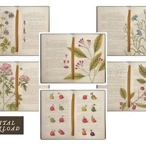 Book of Botanicals Printable Digital Download for Journals, Greeting Cards, Scrapbooks, Decoupage, Home Decor and Crafting Projects 8.5x11
