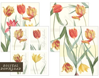 Spring Fling Tulips Printable Digital Download for Journals, Découpage, Greeting Cards, Scrapbooks, Home Decor and Crafting Projects 8.5x11