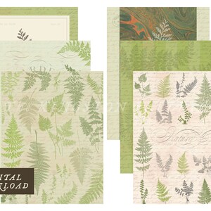 Fantastische varens afdrukbare digitale download voor tijdschriften, wenskaarten, plakboeken, home decor en crafting projecten 8.5x11