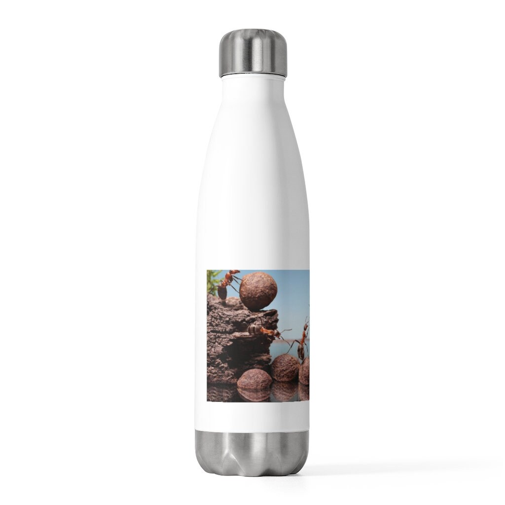 insulated motivational water bottle