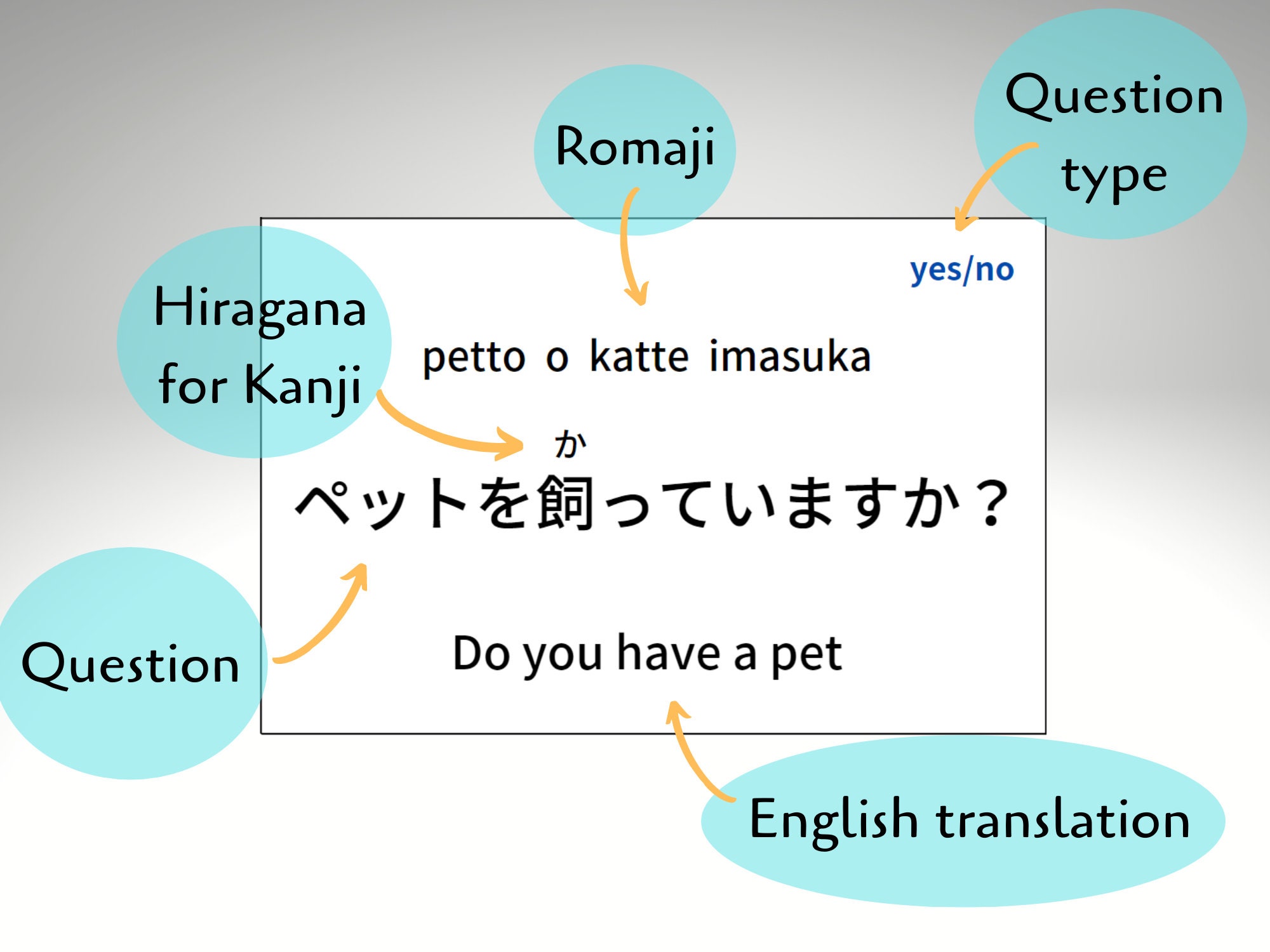 Sample Japanese Question Japanese Conversation Question Cards - Japanese Study (instant Digital ...