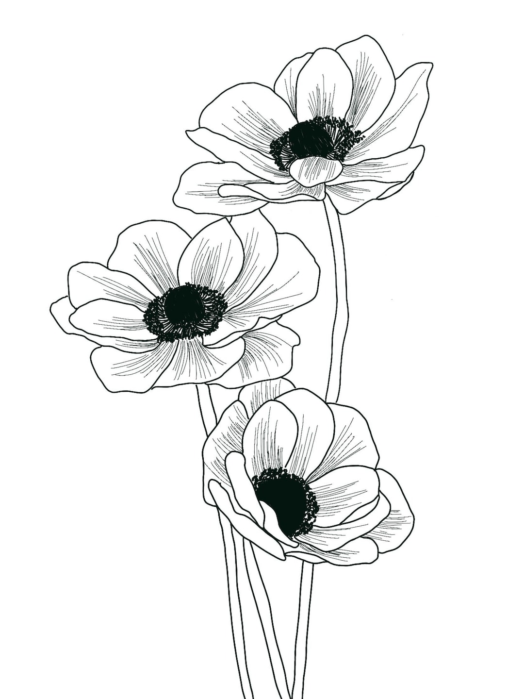 Three Flower Line Drawing Etsy