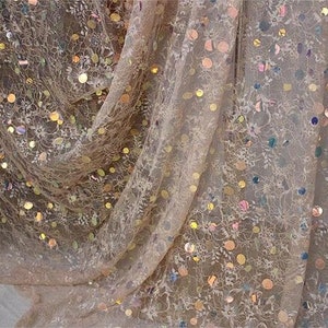 Può includere: Tessuto beige trasparente con paillettes iridescenti a forma circolare.