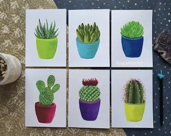 Succulent Blank Greeting Cards Set of 6