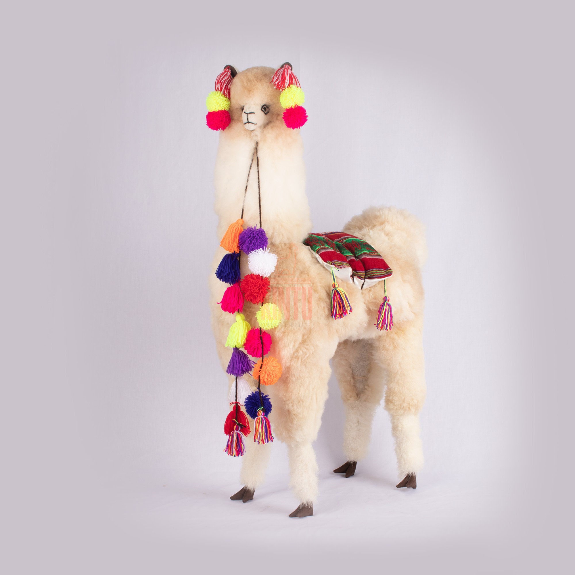Life size llama México