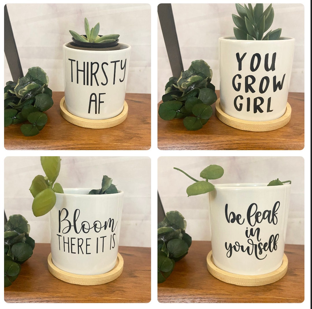 Flower Pots, Planters, Funny Planters, Funny Quotes, Ceramic Planters
