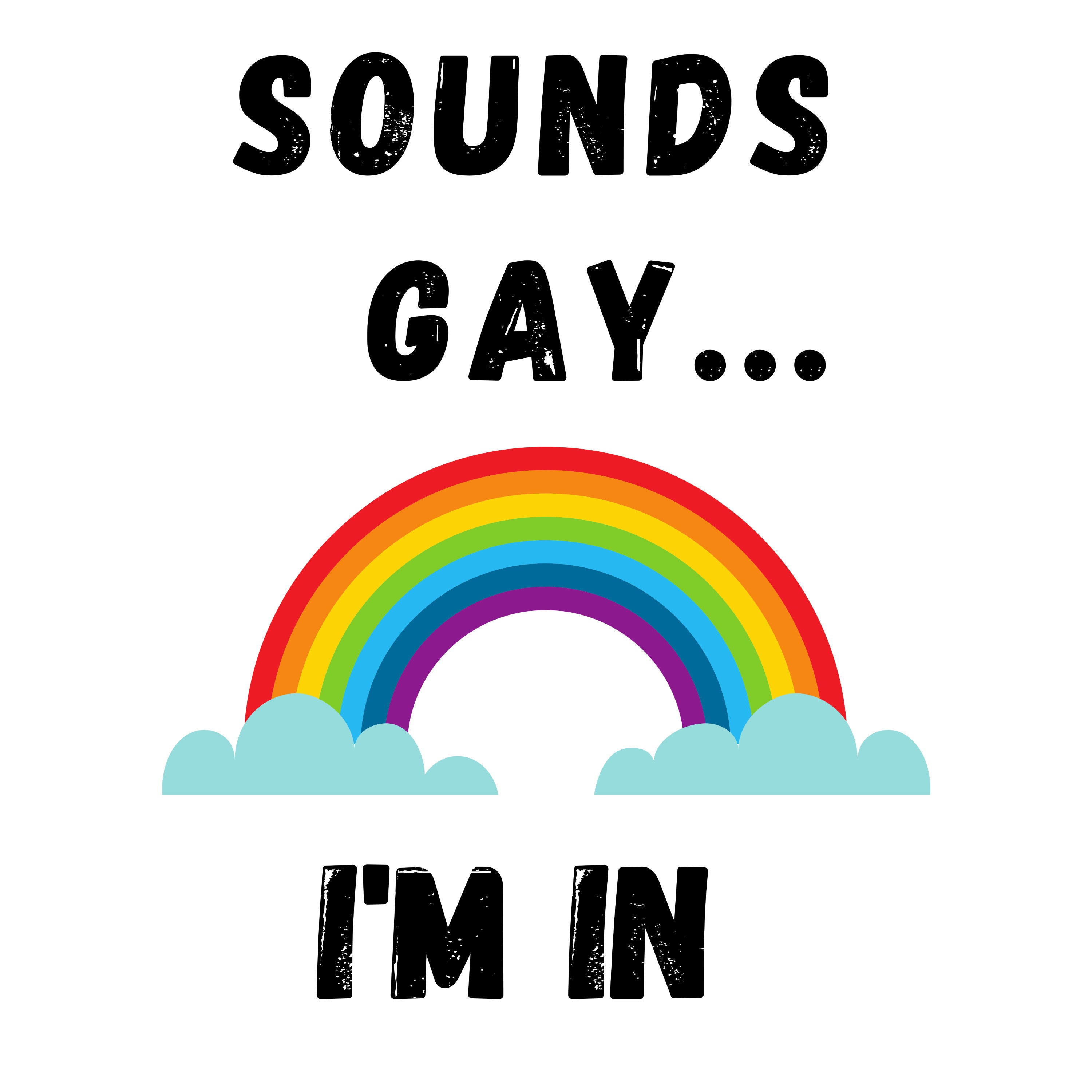 Sounds Gay I'm In water proof vinyl sticker Etsy Sounds Gay I'm In water proof vinyl sticker Etsy
